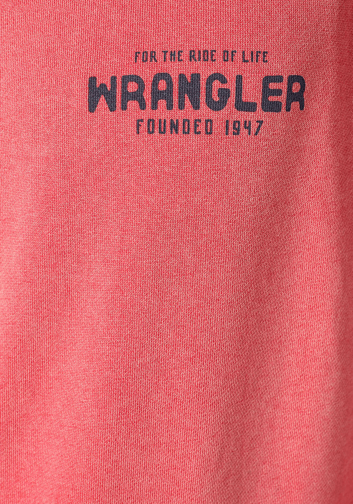 Polerón Washed Crew Burnt Sienna