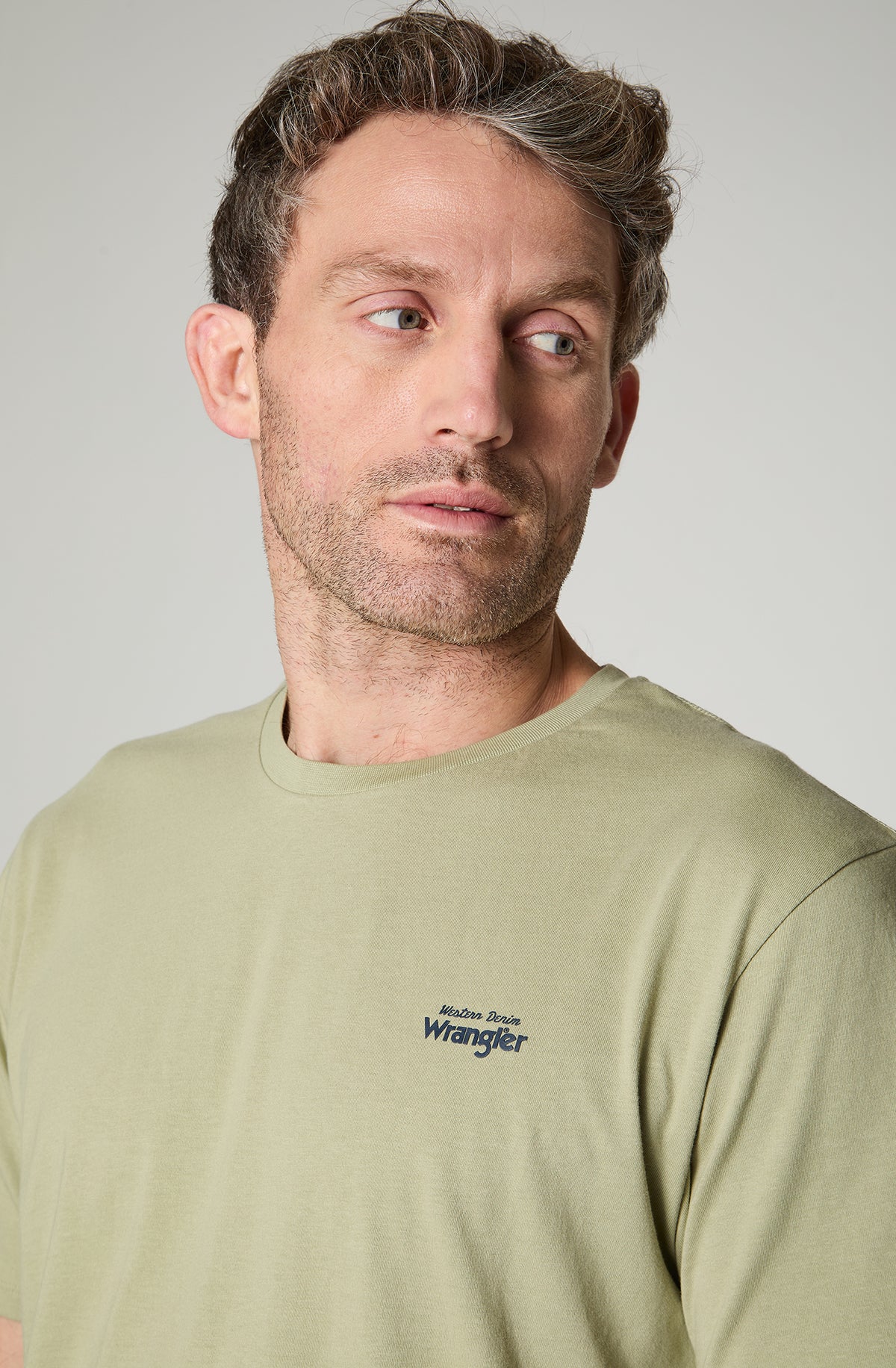 Polera Hombre Cuello Redondo Manga Corta Regular Fit 100% Cotton Verde Claro