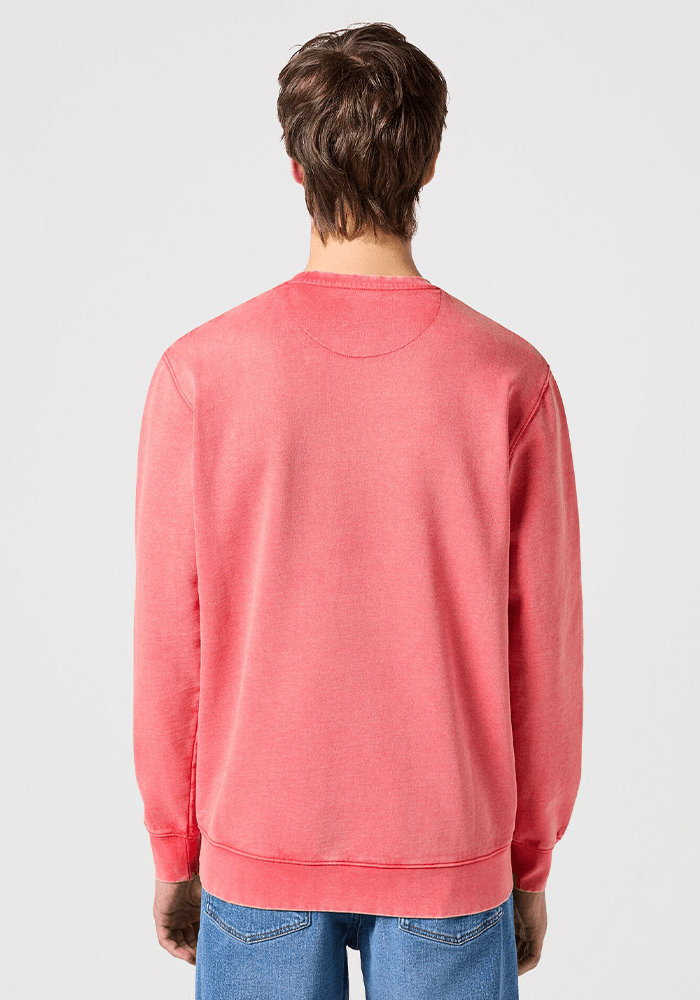 Polerón Washed Crew Burnt Sienna