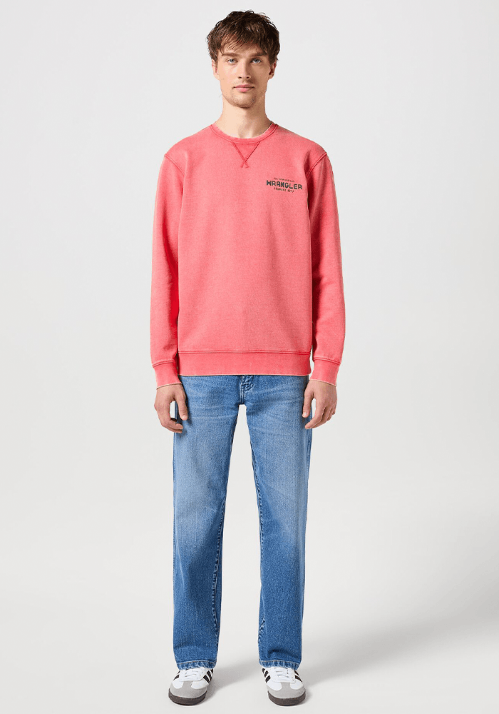 Polerón Washed Crew Burnt Sienna