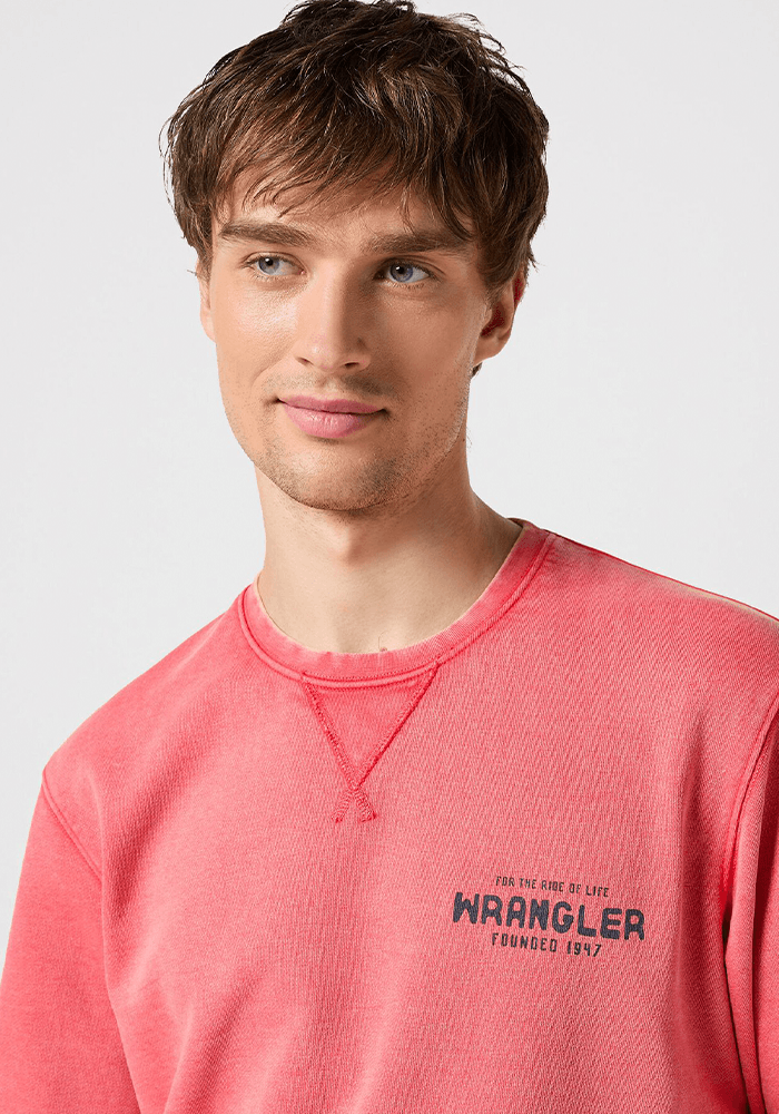 Polerón Washed Crew Burnt Sienna