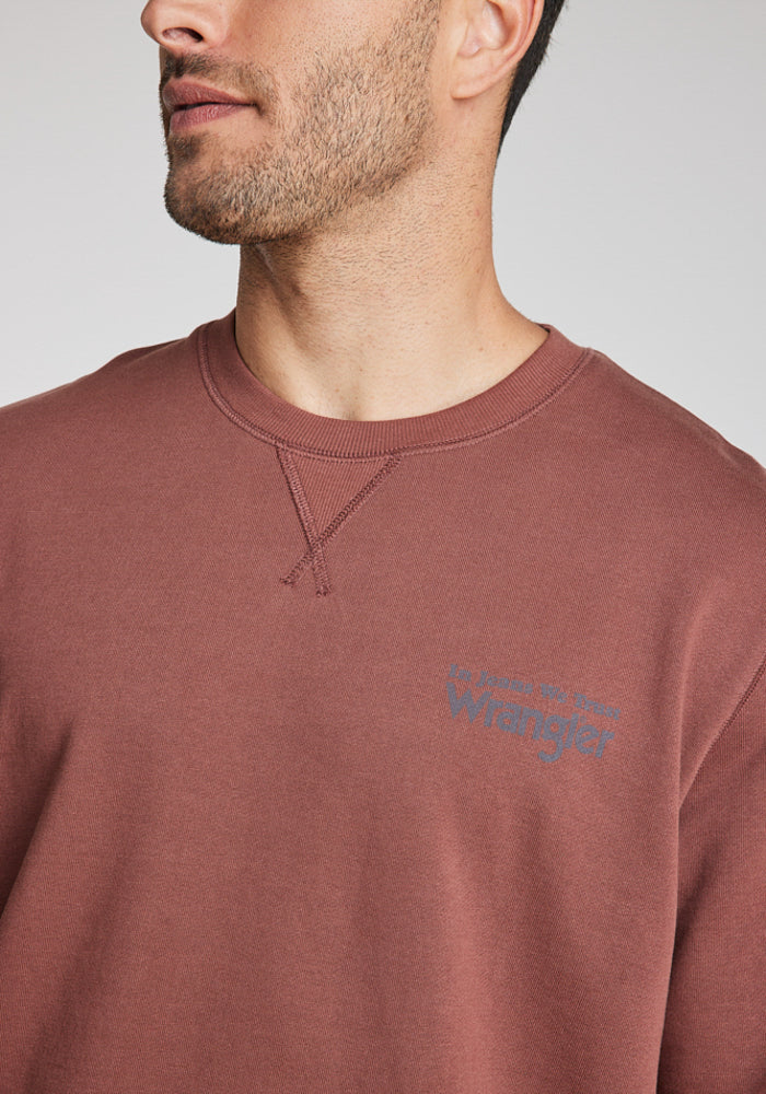 Polerón Hombre Graphic Sweatshirt Brown Root