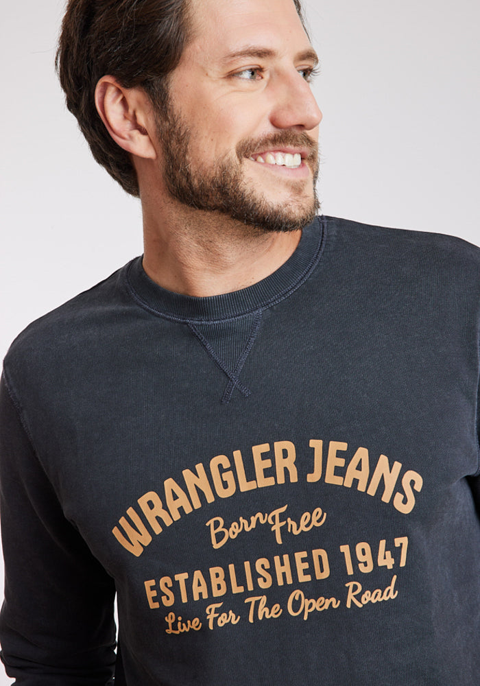 Polerón Hombre Graphic Acid Sweatshirt Green Dusty