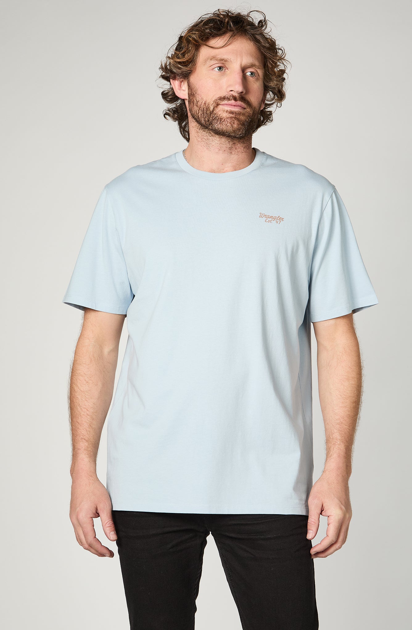 Polera Hombre Fashion 003 Celeste