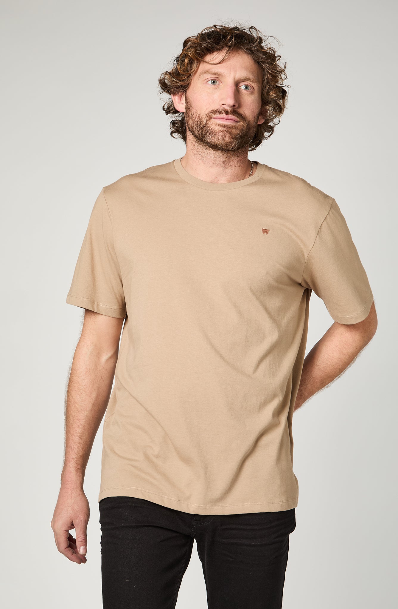 Polera Hombre Regular 001 Beige