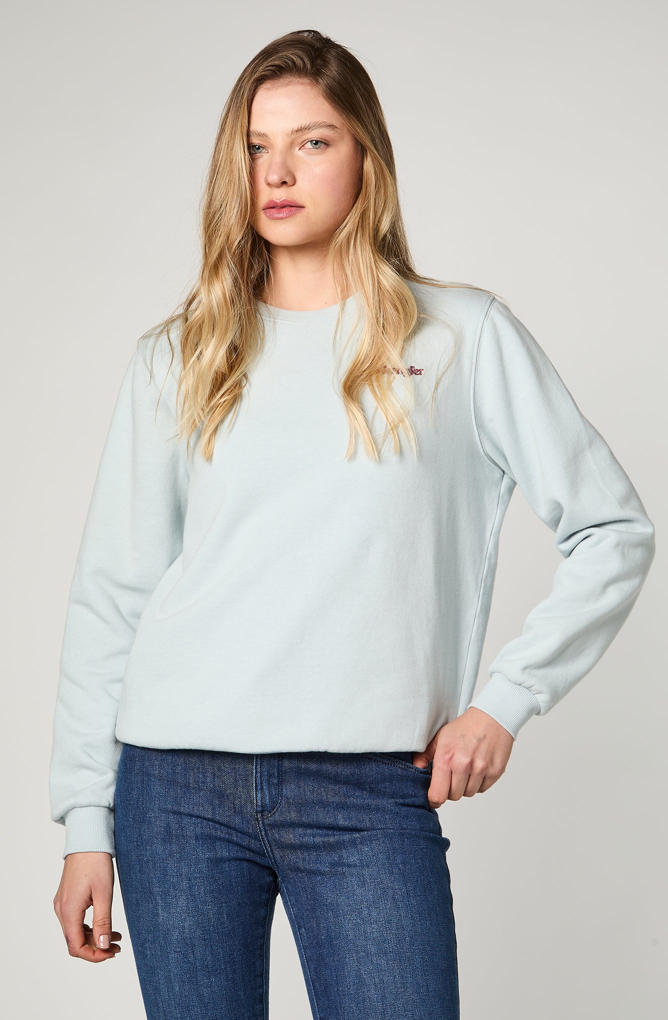 Sweater Mujer Crewneck Broidery Celeste