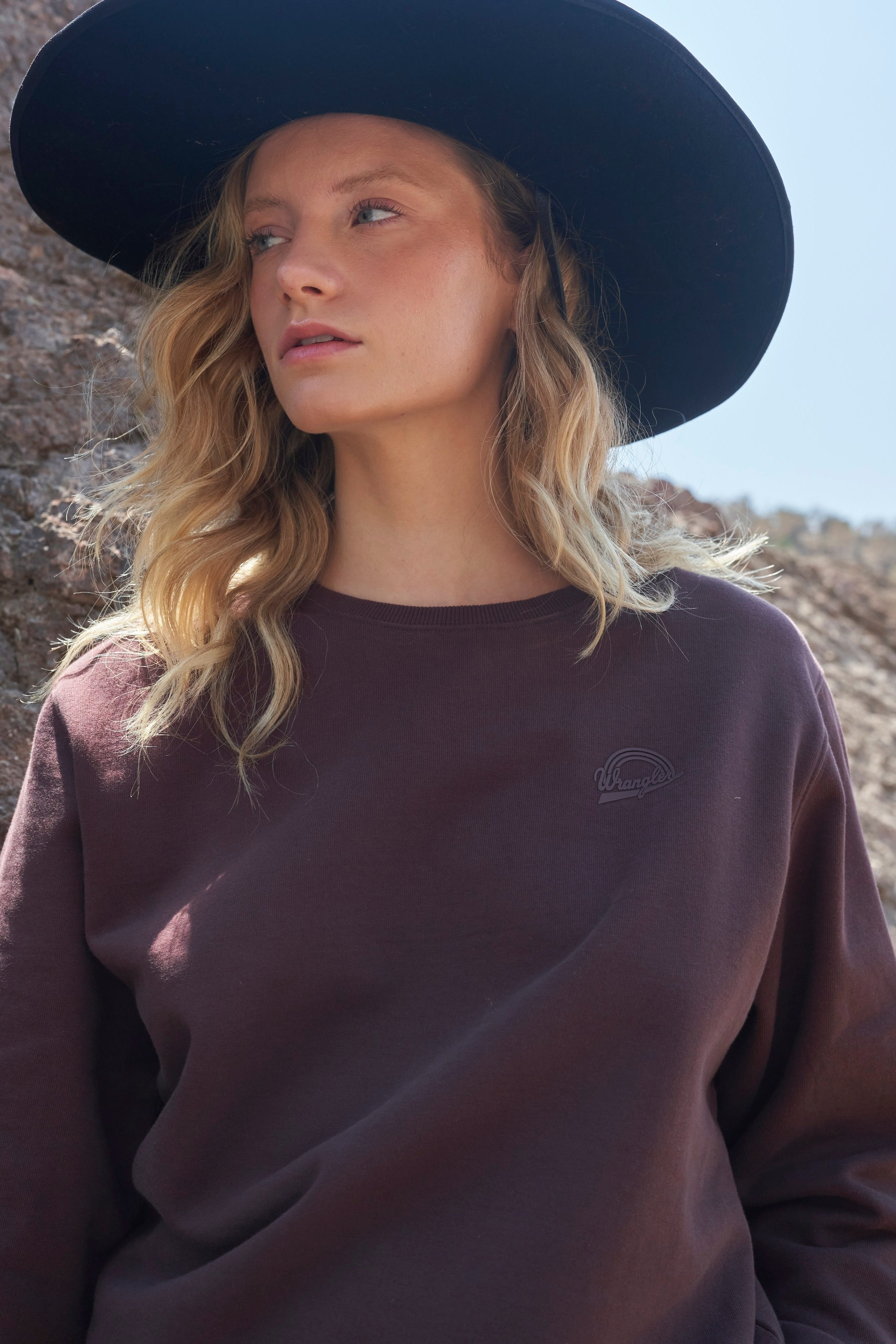 Polerón Mujer Crewneck Regular Café