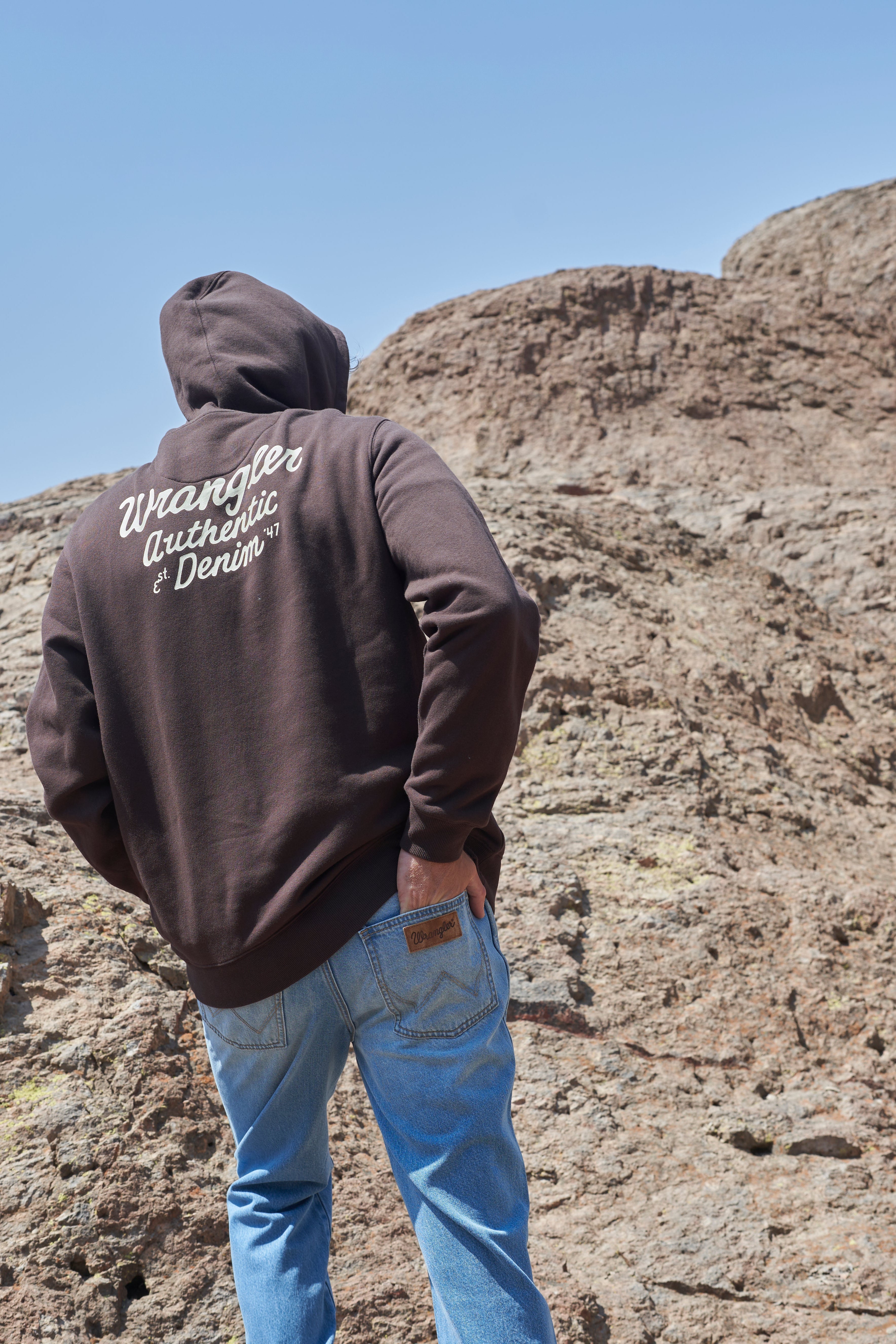 Polerón Hombre Hoodie Reg Regular Café