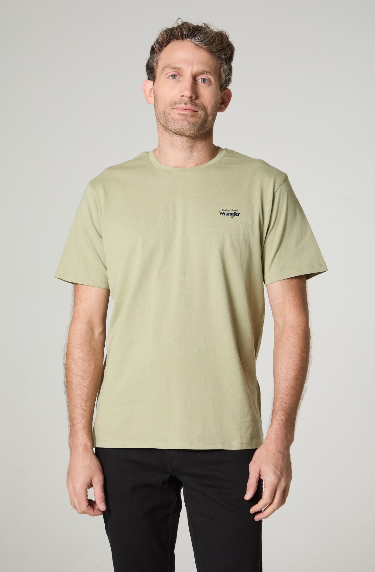 Polera Hombre Cuello Redondo Manga Corta Regular Fit 100% Cotton Verde Claro