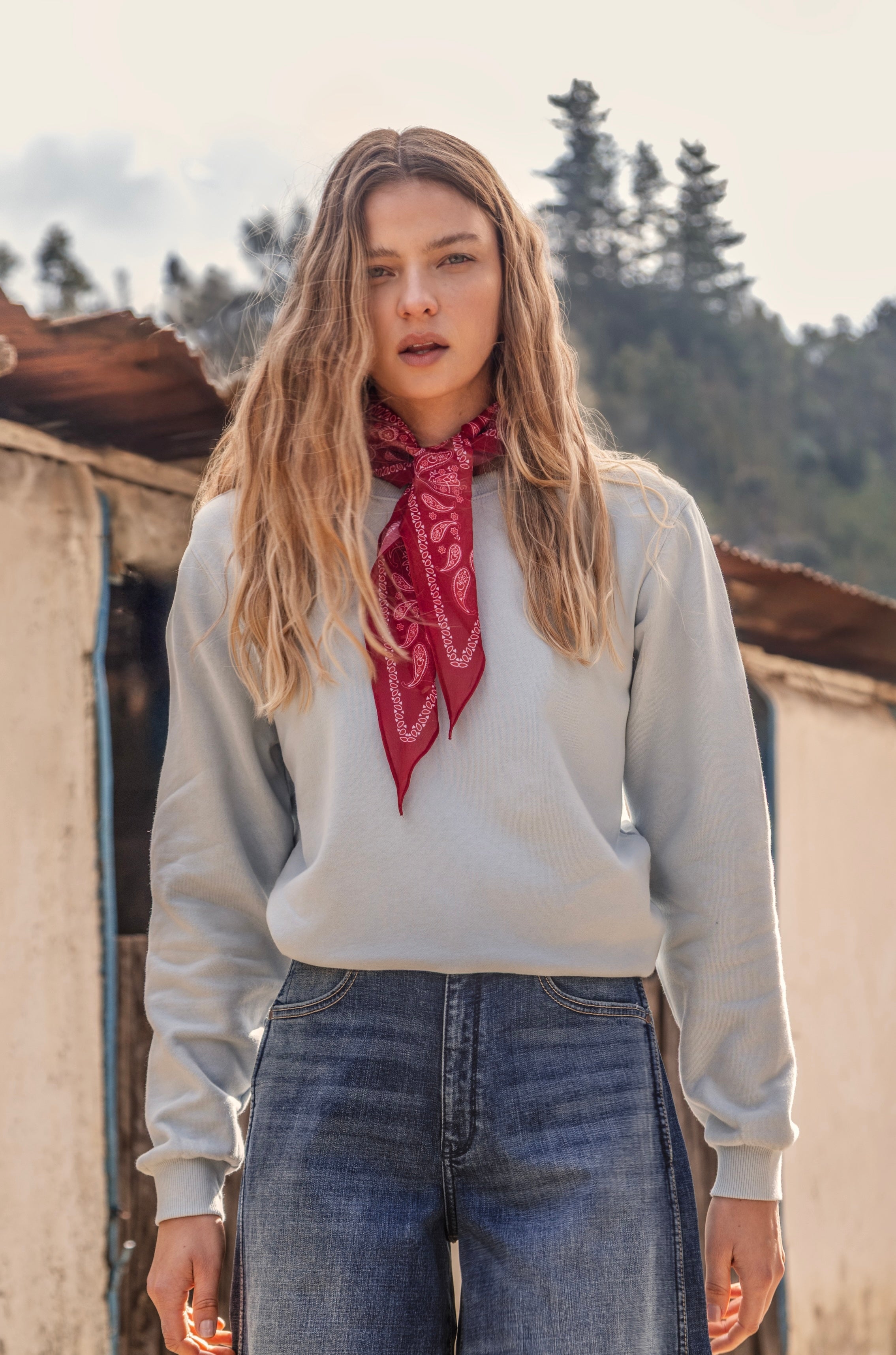 Sweater Mujer Crewneck Broidery Celeste